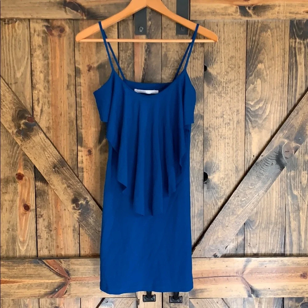 Revolve X Susana Monaco blue fitted mini dress! - Picture 2 of 8